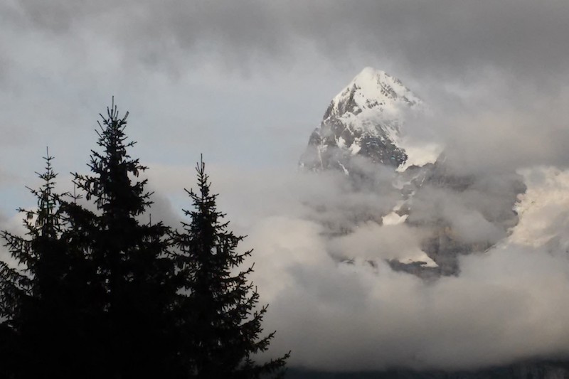 alps junfrau800x533