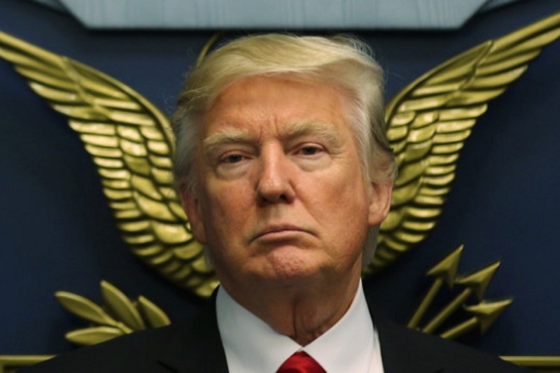 trump800x533