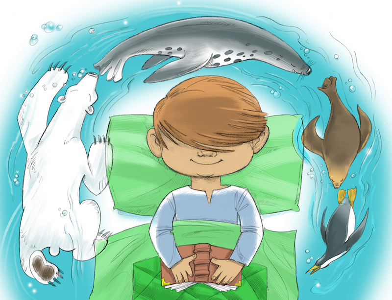 animals800x613