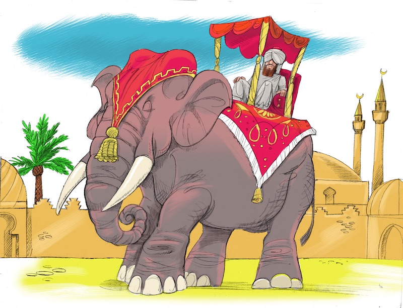 elefant800x613