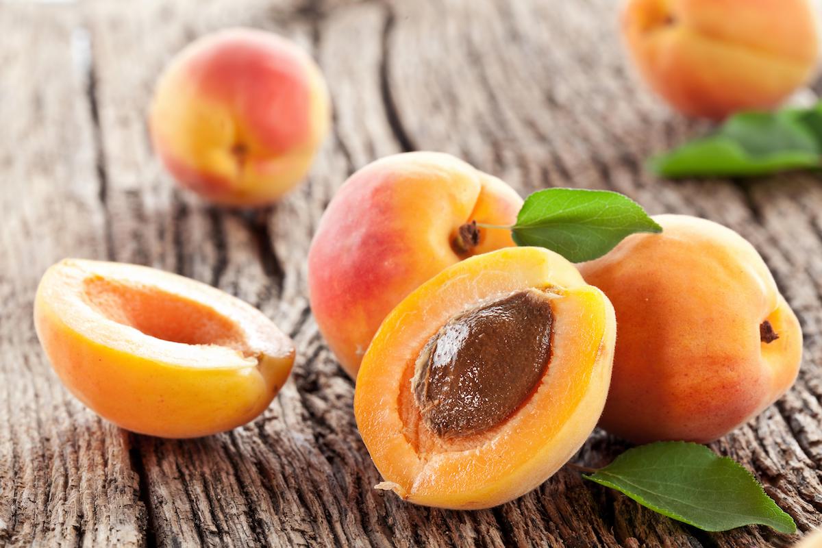 apricot1200x800