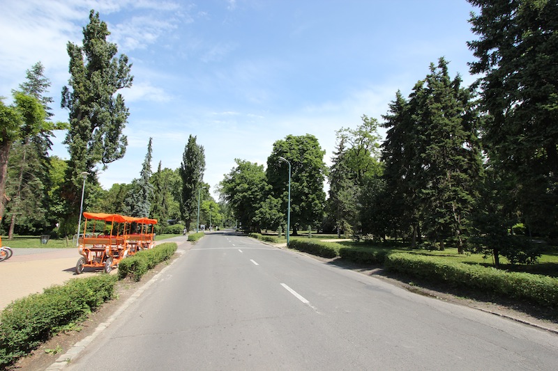 В парке на острове Маргит