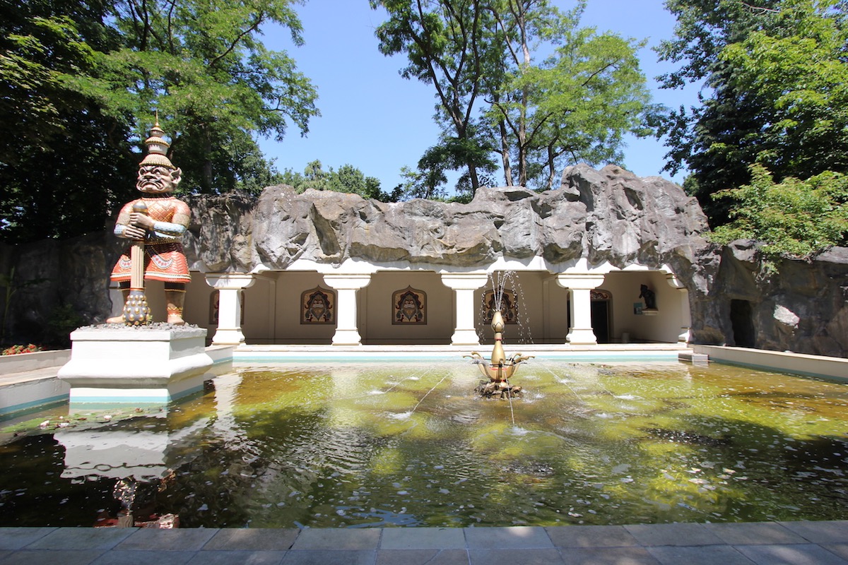 The Indian Water Lilies