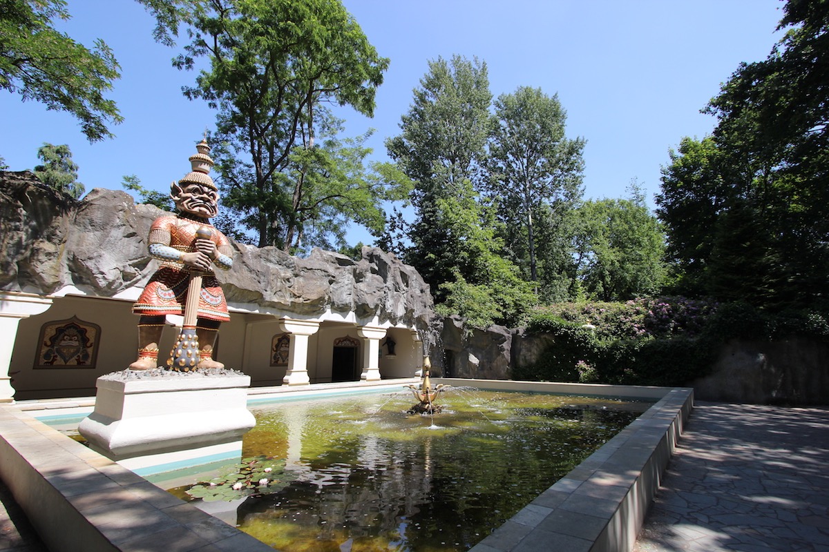 The Indian Water Lilies