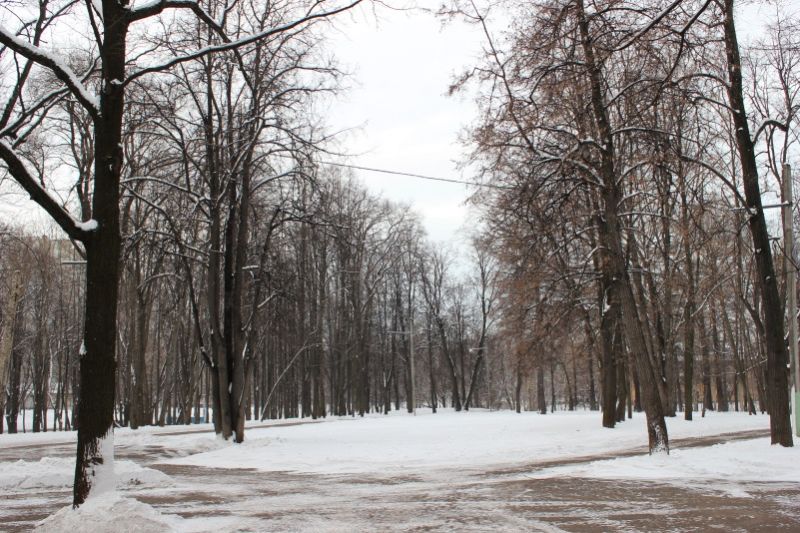 Люблинский парк зимой