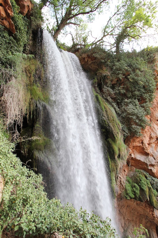 Природный парк Monasterio de Piedra