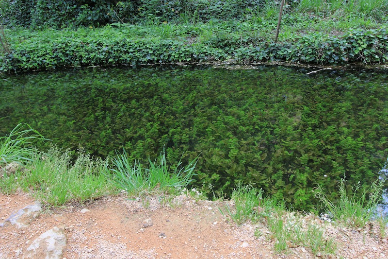 Природный парк Monasterio de Piedra