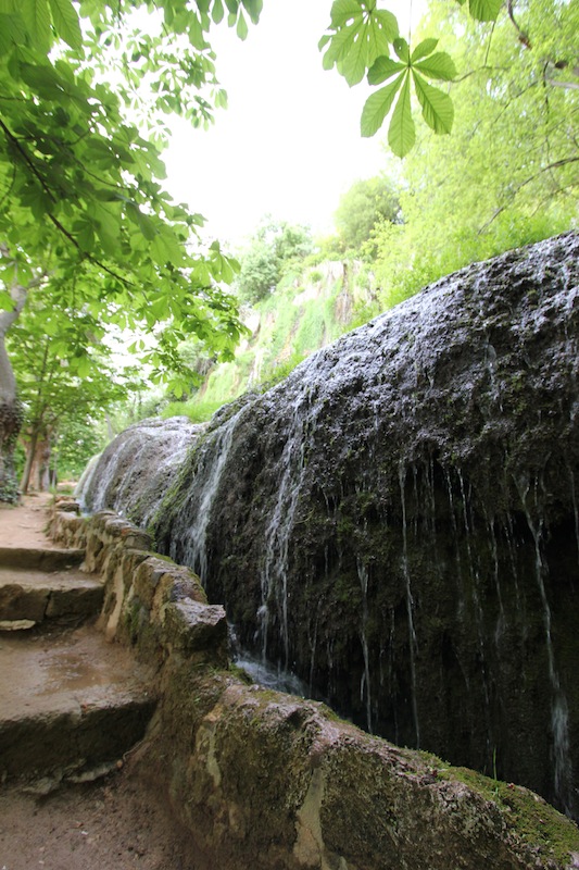 Природный парк Monasterio de Piedra