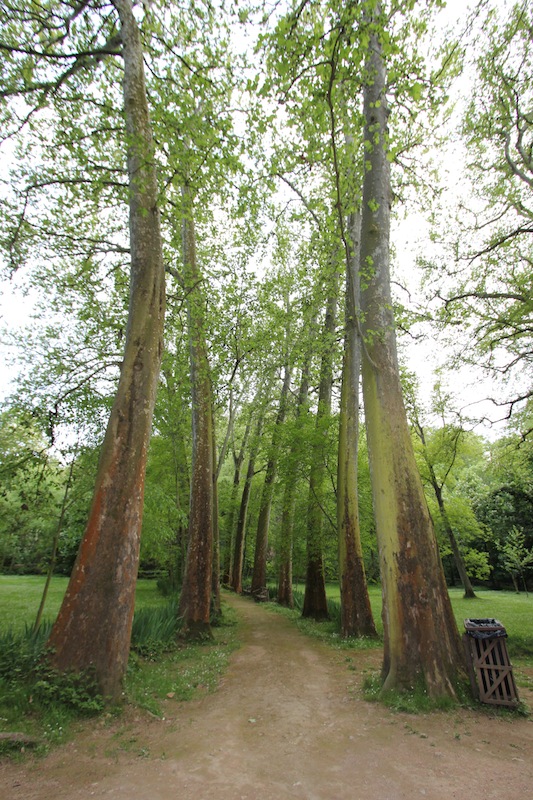 Природный парк Monasterio de Piedra