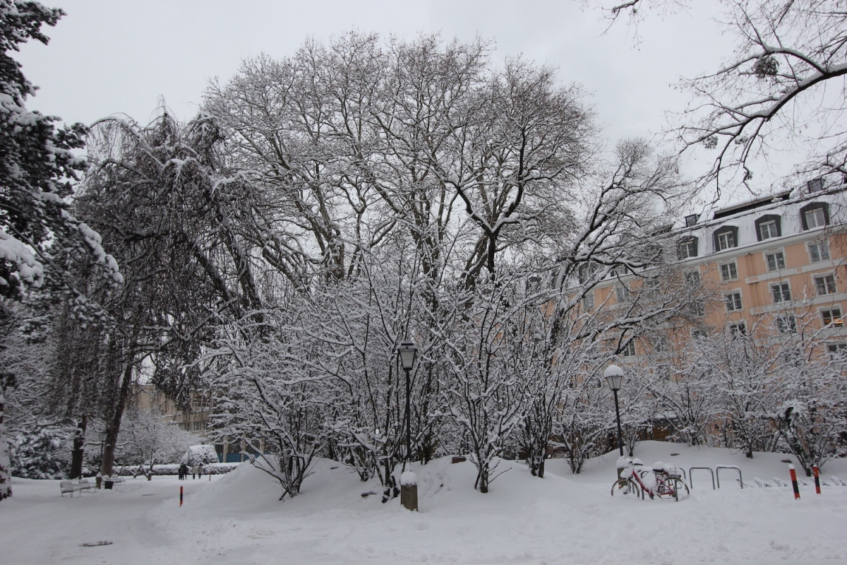 В парке позади отеля Sheraton Salzburg